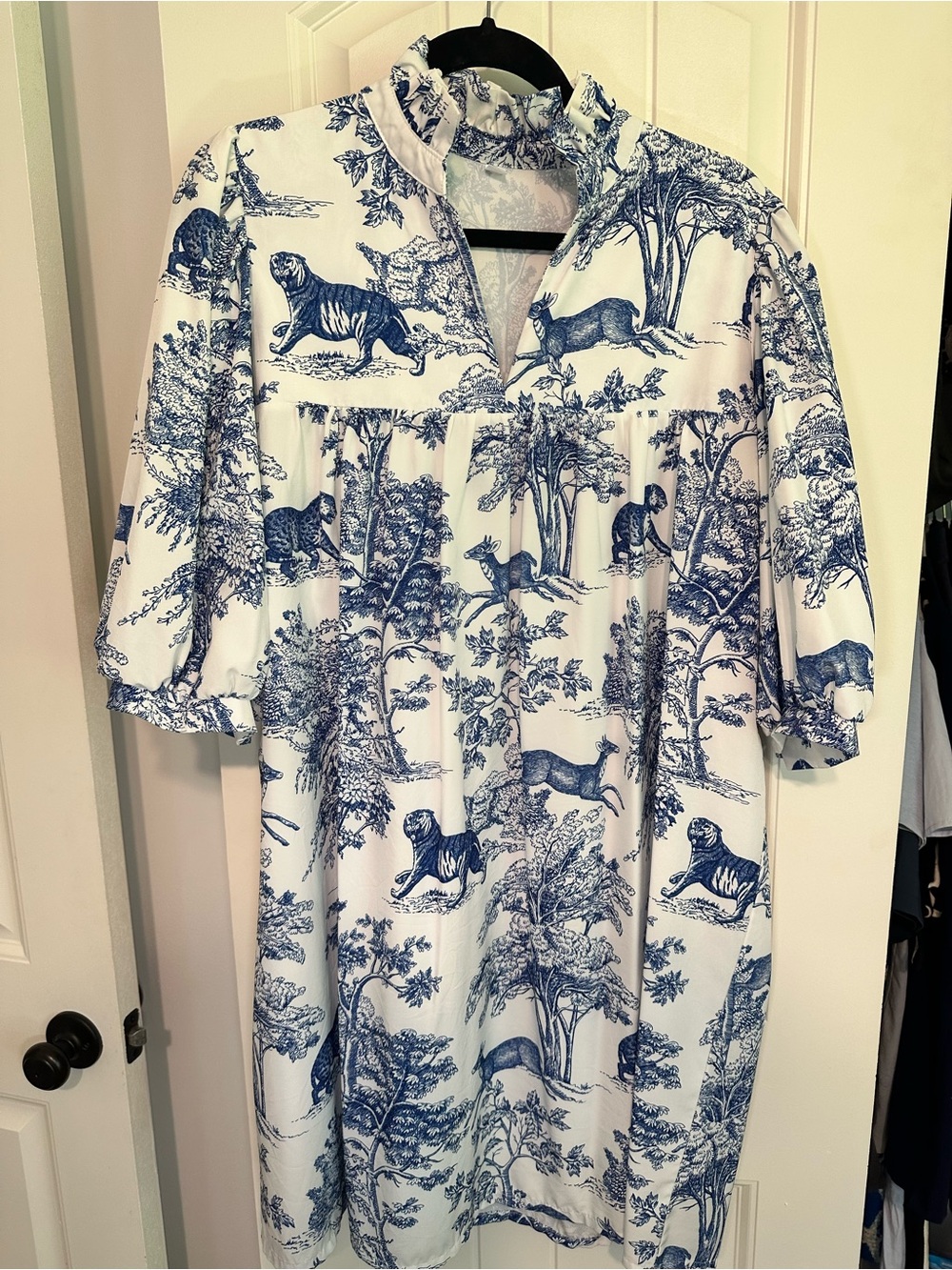 Amazon Blue Pattern Dress